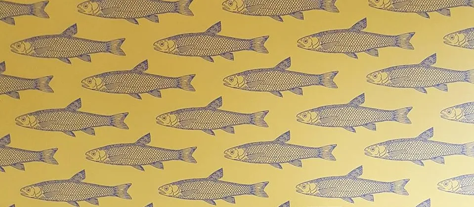 Fish Background